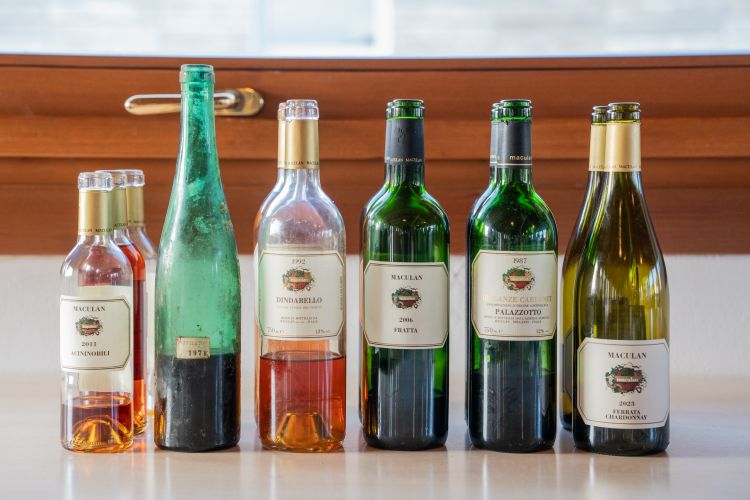 I vini che hanno accompagnato il racconto: da sinistra Acininobili 2011, Torcolato 1971, Dindarello 1992, Fratta 2006, Palazzotto 1987 e Ferrata Chardonnay 2023