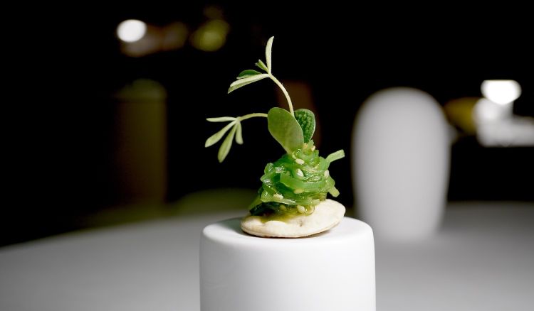 Crackers di pasta matta, alga wakame, germoglio di luppolo. L'appetizer che ci ha convinto di più