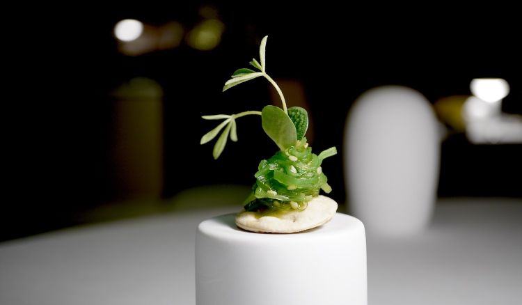 Crackers di pasta matta, alga wakame, germoglio di luppolo. L'appetizer che ci ha convinto di più
