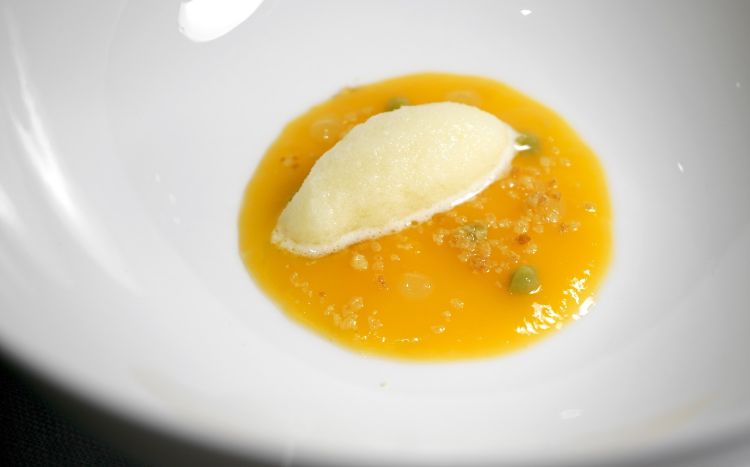 Coulis di mango, quenelle di ananas, gocce di crema di avocado
