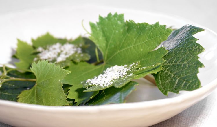 Chips di piselli, Castelmagno, pepe giamaicano
