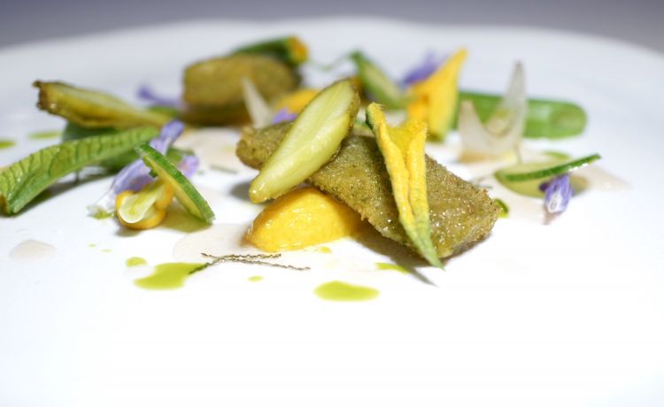 Tinche in carpione: tinca fritta con le erbette, zucchine sott'aceto di Arneis, olio alla salvia, fiori e julienne di salvia, gel di carpione, insalata di tenerumi e zucchine
