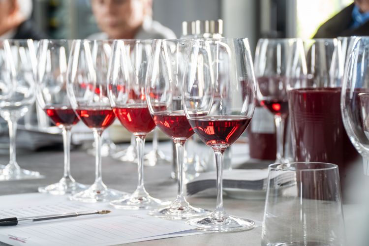 Uno scatto dal nostro tasting di Verduno Pelaverga