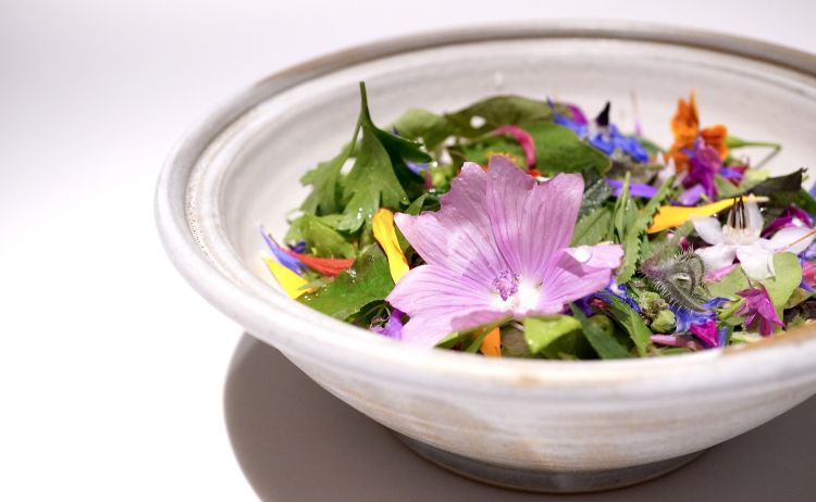 Salad from the garden. Made of almost 30 herbs and flowers, with three types of lettuce that come from a vegetable garden in Kronplatz. And then crumbs of puccia (the classic local loaf made with rye and wheat and seeds of fennel and cumin), seeds of amaranth, flax, Jerusalem artichoke and all soaked with a kombucha of elderberry flowers, which in fact makes everything a little too sweet. To balance, the pairing with Total Green, a juice of green apple and herbs 
