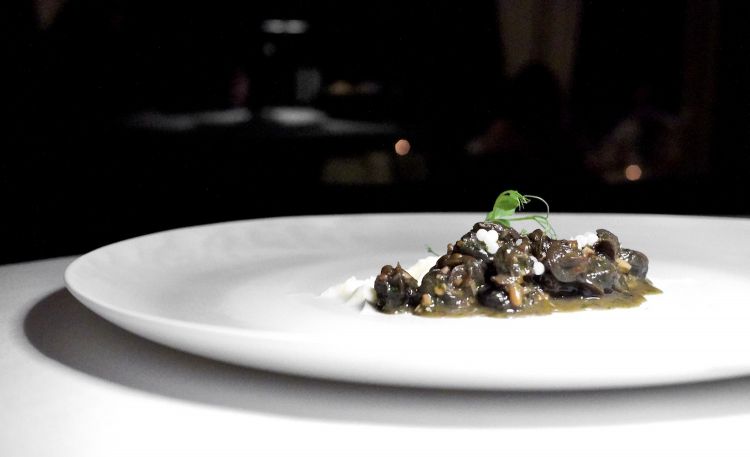 Lumache alla ligure con purea di sedano rapa, caviale di lumaca, germogli di pisello