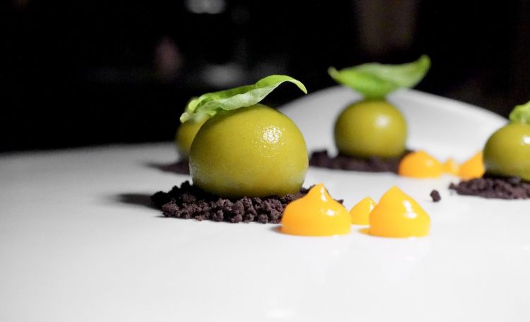 Yogurt di pecora brigasca, bavarese di chinotto di Savona, crumble al cacao, carota, agrumi
