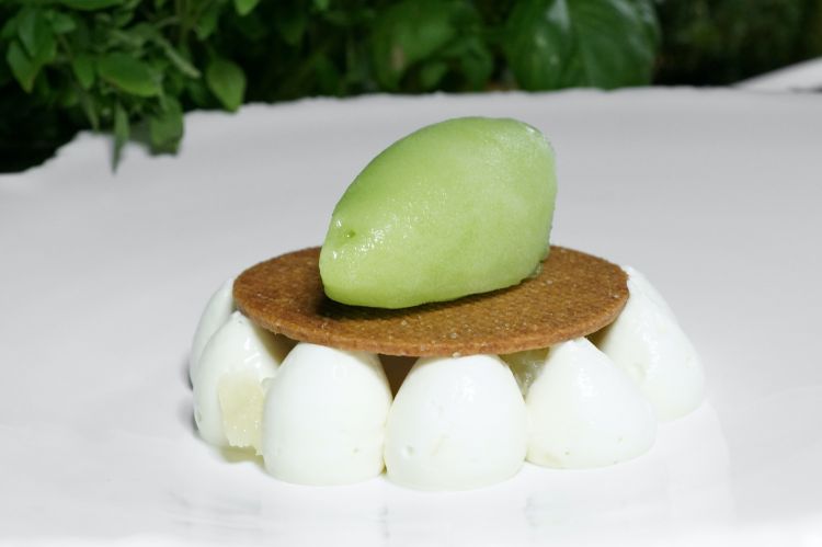 Prickly pear, lemon and salt. The desserts are perfectly coherent too (lemon namelaka, lemon and salt, prickly pear leaf sorbet)