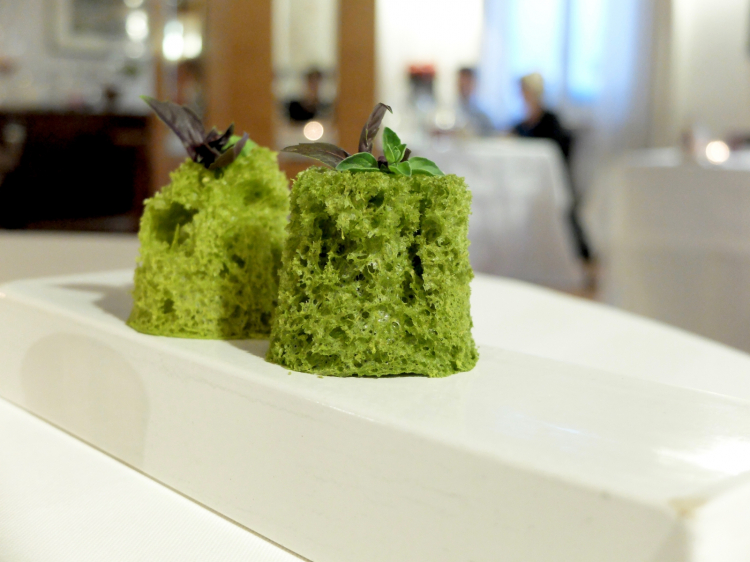 Sponge with wild herbs
