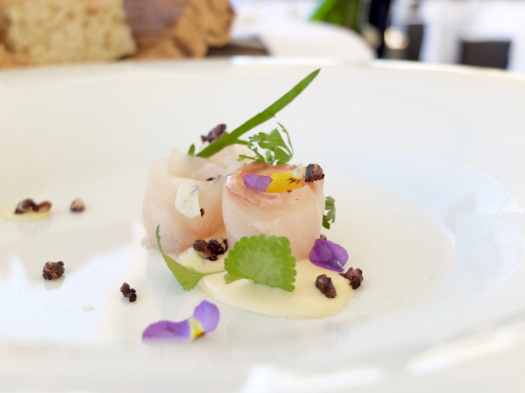 Squisito un piatto storico de La Buca, il Carpaccio di ricciola, olio all'artemisia, salsa tonnata alle mandorle, riso soffiato. La ricciola viene marinata a secco nel sale di Cervia al quale vengono aggiunti aneto, melissa, cerfoglio, una foglia di alloro e qualche grano di pepe nero; l'artemisia cresce nelle stesse saline