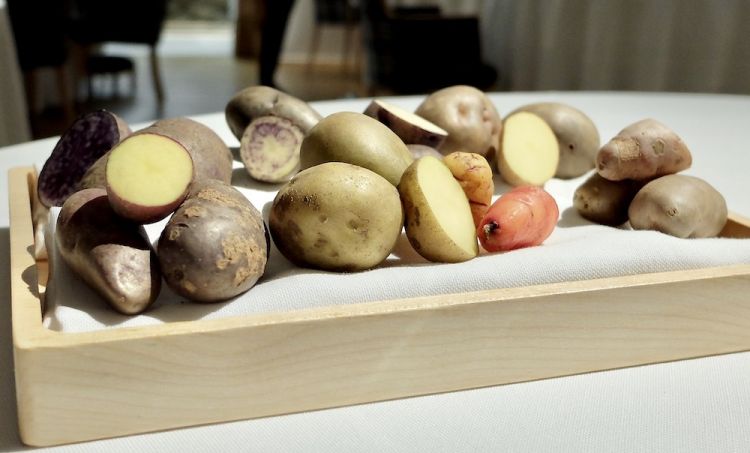 Arrivano al tavolo vari tipi di patate...
