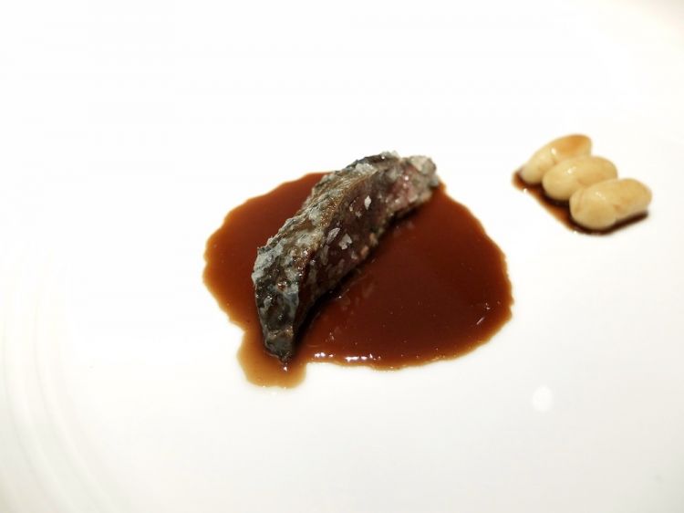 Piccione in salsa bretone (cipolle/porri, zucchero, sale, funghi, senape, burro). Un piatto fin troppo ricco

