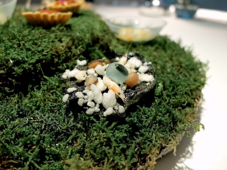 Seaweed brittle with prawns
