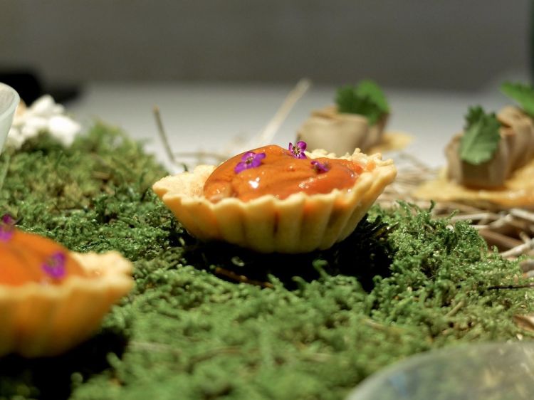 Tart with sea urchins
