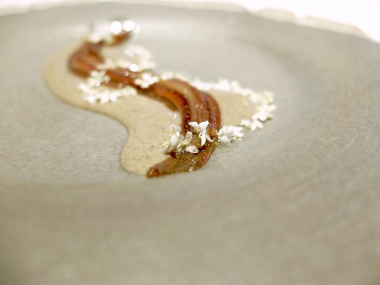 A dish with a unique harmony, literally extraordinary: Anchoa con trufa ("Anchovy with truffle" – 2016). The anchovies are cut in many thin stripes, seasoned with an emulsion of black truffle and garnished with elderberry flowers. A masterpiece 

