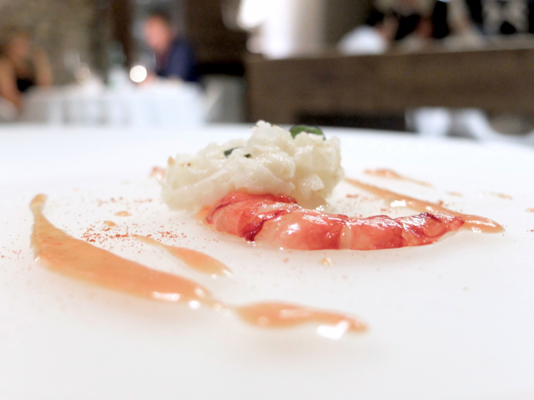 Buonissima ed elegante la Trippa alla teramana, gamberi rossi: una trippetta estiva bollita, tagliata fine fine, con pomodoro datterino frullato e maggiorana, più un gambero rosso di Gallipoli
