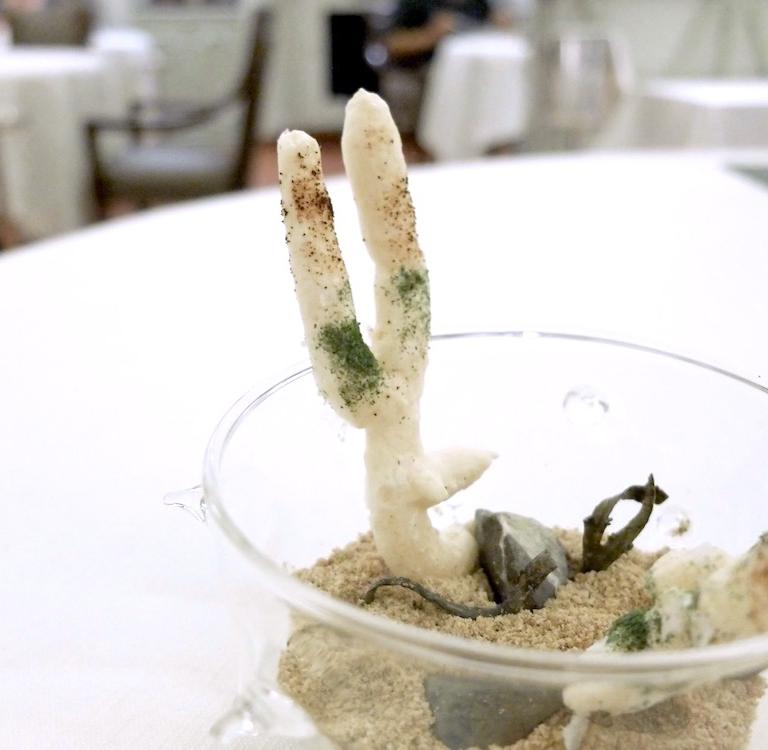 Il "benvenuto del Podere" come appetizer: qui Grissino di sedano rapa con polvere di alghe