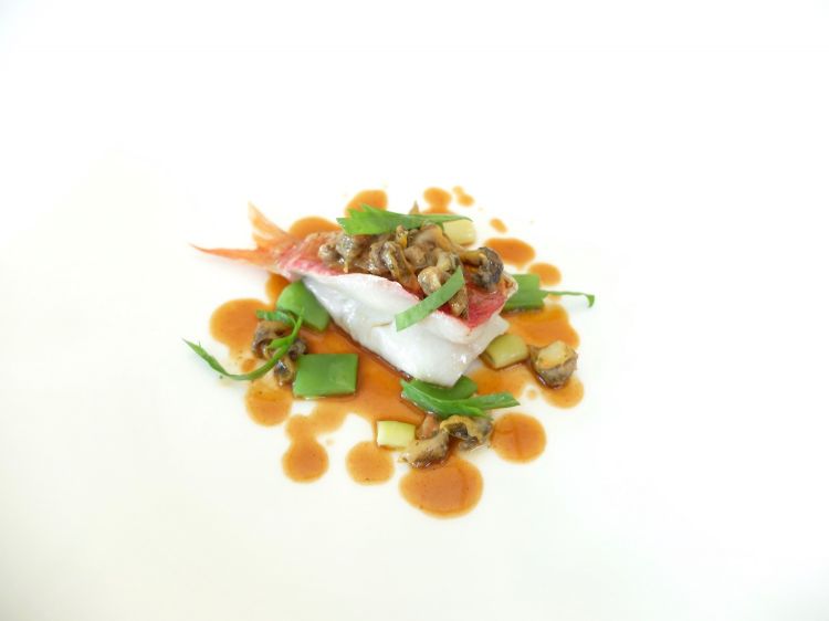 Triglia di scoglio, salsa di triglia al curry, lumache di mare, fagiolini stortini, taccole e insalatina di acetosa
