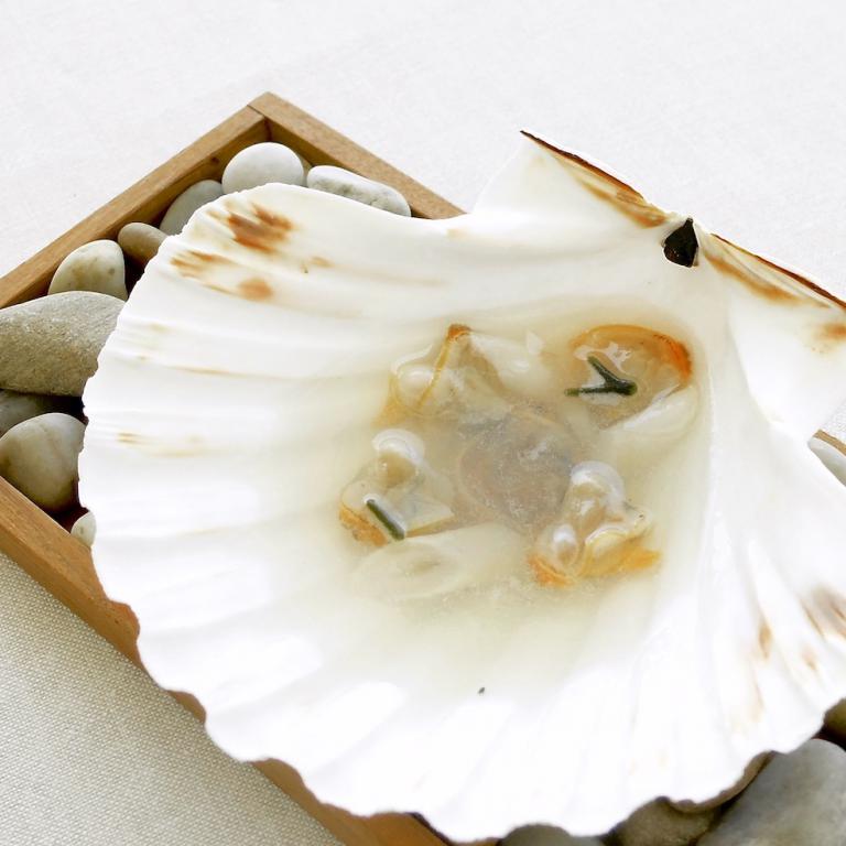 Molluschi con brodo di roccia e codium. In una conciglia di capasanta, un brodo marino avvolge fasolari, cannolicchi, tartufi di mare...
