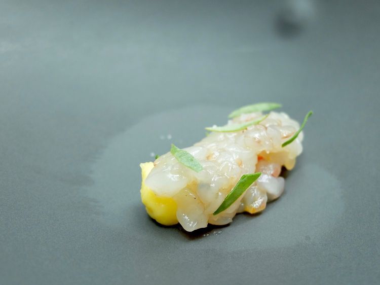 Gambero tigre marinato, crema olandese, acetosella