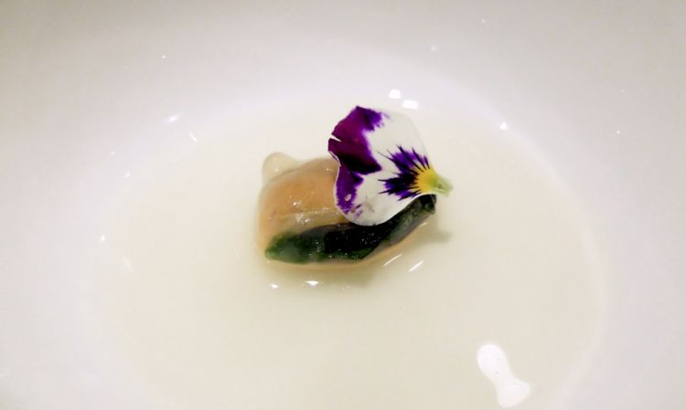 Cozze nel gel della loro acqua, infuso di bergamotto. Pulizia di gusto