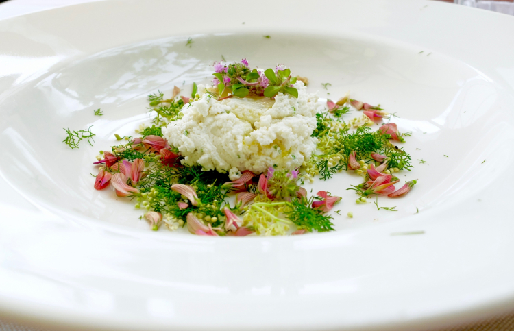 Ricotta, flowers and herbs. Tanio Liotta took the photos of the dishes
