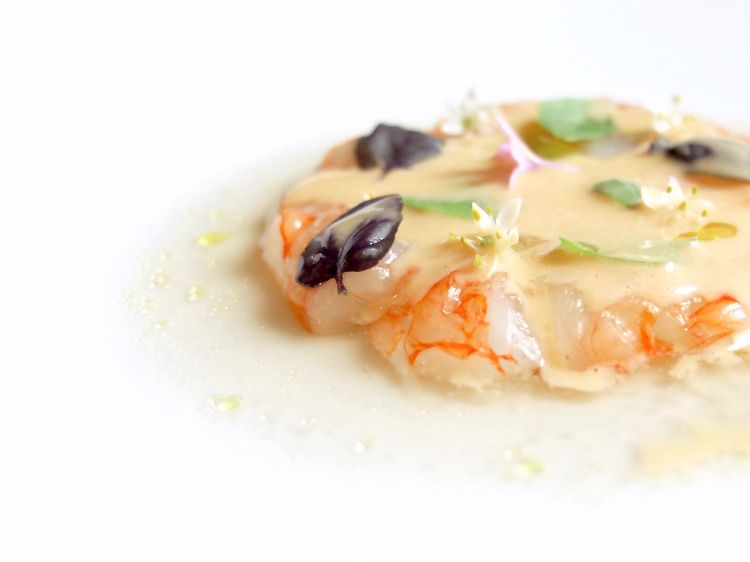 Prawns in brine: prawns from Sanremo, coulis made with their roasted heads, brine from taggiasche olives
