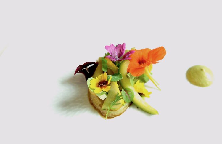 In-fiore: zucchine cotte in estrazione di verdure grigliate, condimento al funghetto
