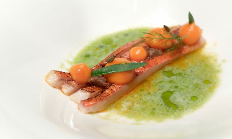 Squisita la Triglia, gel di carota, mostarda di frutti d'aneto, salsa di latte di cocco e olio al finocchio selvatico. Grandissimo piatto