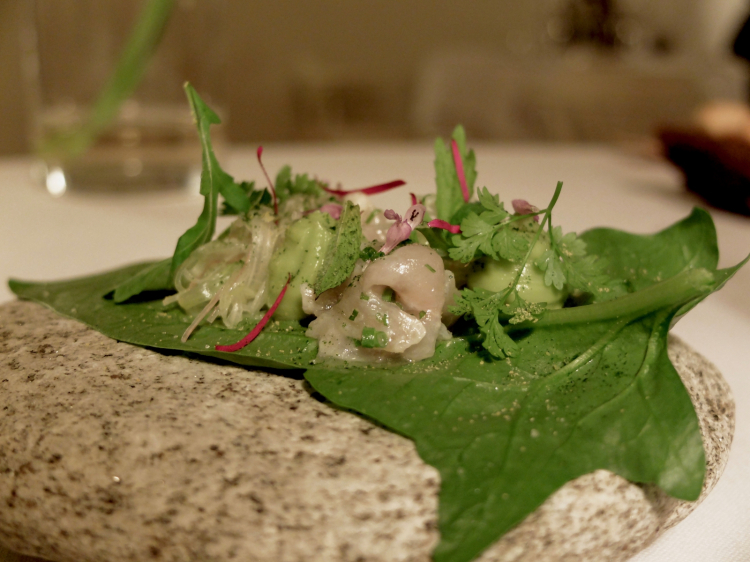 Foglie di spinacio, avocado, pesce gatto, misticanza di stagione. Bellissima idea, fresca, convincente