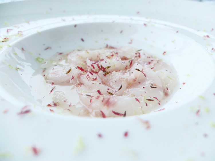 Buonissimo e fresco, al T Bar, il Crudo di branzino con brodo di cetriolo, cumino, mela verde e rossa, sale Maldon. Il brodo è ottenuto facendo fermentare a freddo il cetriolo per 15 giorni in acqua, aceto di riso, zenzero, peperoncino sale e zucchero