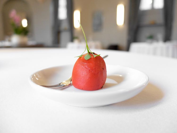 Buonissimo anche il Peperone arrostito con crema di tonno, Piemonte puro
