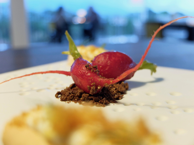 Ravanello fermentato allo yuzu, crumble al cacao
