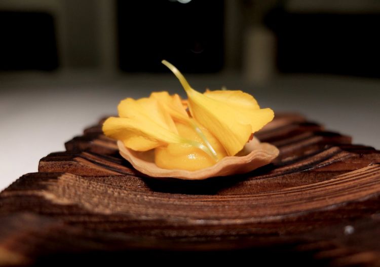 Tartelletta con crema di carote in carpione