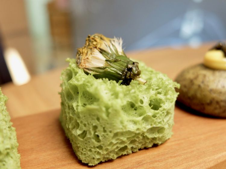 Spugna al basilico, fiore di tarassaco in salamoia