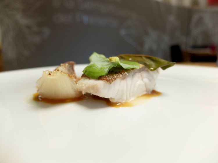 Gallinella al vapore, foglia ostrica cruda e cotta, cipolla al sale con noce moscata, ristretto di vitello al succo di limone