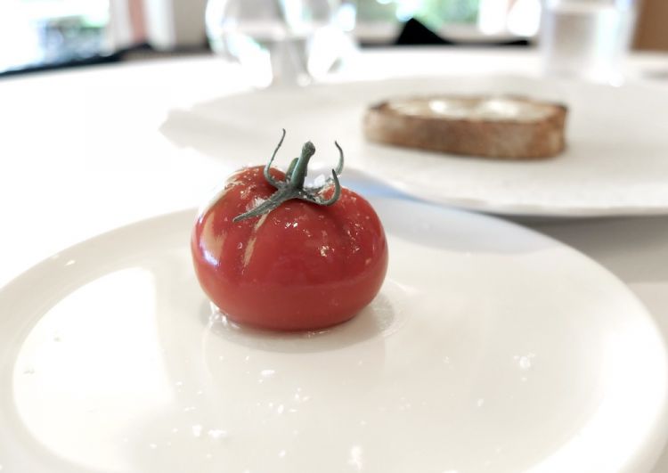 Ricordo d'estate: concentrato di datterino e basilico coppato con gel di pomodoro, sale Maldon. Alla base c'è un gel di verbena
