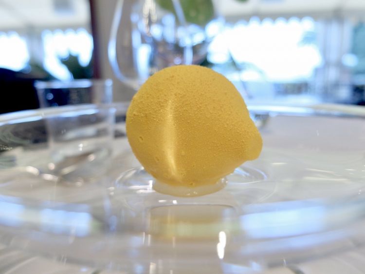 Limone del giardino, menta dell’orto. Bavarese di limone e burro di cacao aromatizzato al limone, cuore di limone, basilico e menta
