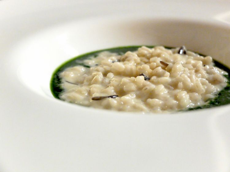 Risotto con estratto di radicchiella, Nostrano Valtrompia e riduzione di Braulio. Note amare, balsamiche, tonde, vegetali