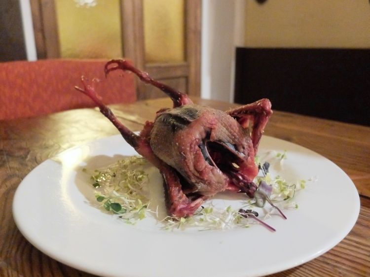 Fuori dal menu Ardito, chiediamo di assaggiare il Piccione nostrano alla brace. Viene allevato dal'azienda Lazzari a Ostiano. È più piccolo dei piccioni in uso generalmente nell'alta cucina. Viene frollato a lungo e cotto anche col suo quinto quarto