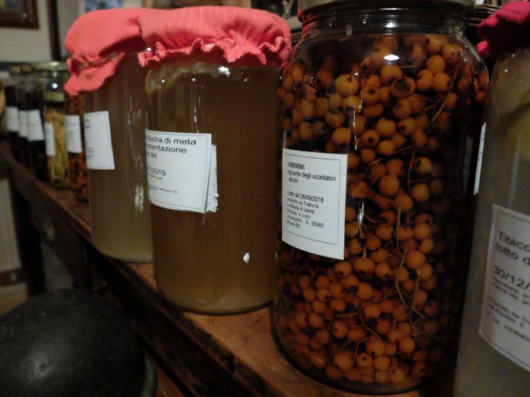 Alcuni vasi con le fermentazioni