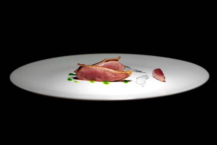 Piccione: il petto con crema dei suoi fegatini, salsa all'acetosella e composta d’uva. Poi il filettino