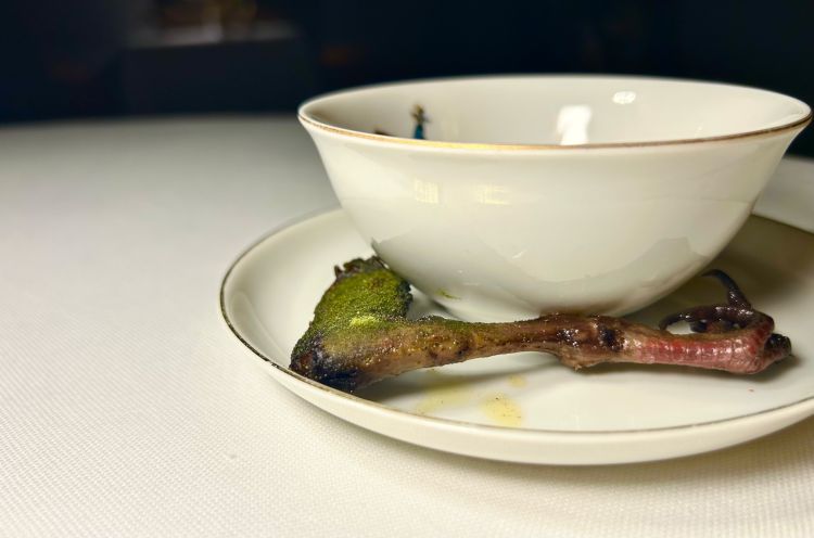 Colombaccio - Secondo. Ossia intranto Zampa di colombaccio (viene cotta a bassa temperatura in kombucha di bacche di sambuco, poi affumicata e passata alla brace. Viene infine spolverata con polvere di albicocche fermentate e cipresso, in modo da richiamare idealmente l’habitat dell’animale. È servita con una tazza di kombucha di bacche di sambuco con olio alla nepitella. Poi Intestino di colombaccio e saké: l’intestino dell’animale viene utilizzato come involucro per un piccolo bicchiere di saké. All’esterno c’è saké di produzione propria; all’interno saké kasu, normalmente considerato un prodotto solido di scarto, qui ossidato per sei mesi a 60 °C. Il contrasto è molto netto: la parte esterna è molto acida, quella interna dolce, con note che ricordano cioccolato, dattero e liquirizia. È un passaggio che mostra come il tempo e l’ossidazione possano modificare profondamente il profilo gustativo di uno stesso ingrediente. Quasi un dessert