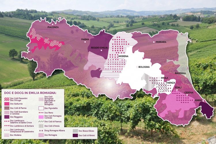 La grande varietà dei vini dell'Emilia-Romagn
