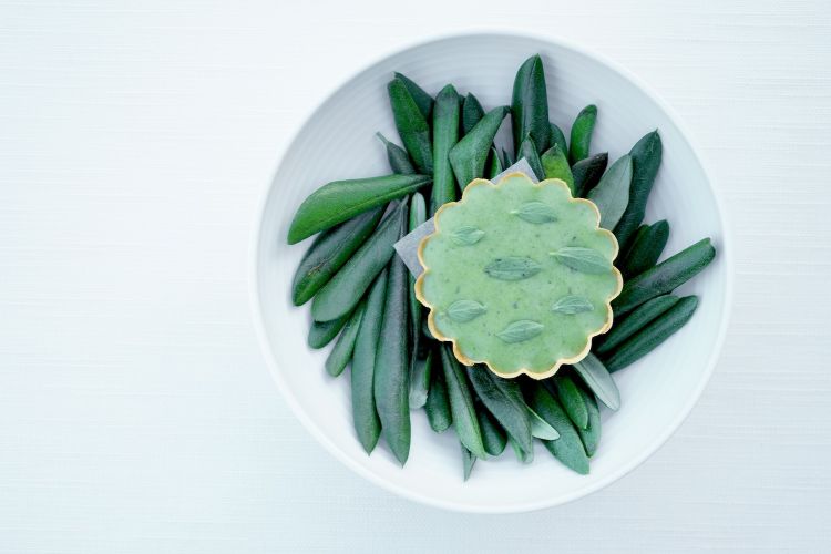 Gli appetizer, si inizia con una deliziosa Torta verde (ragù di zucchine trombetta, crema di erbe selvatiche e maggiorana)
