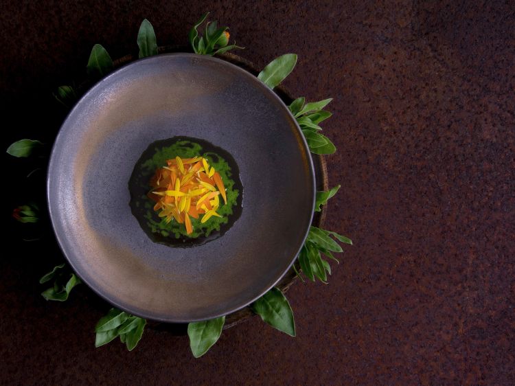 Essenza di calendula di Enrico Bellino, al ristora
