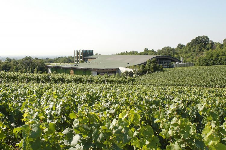 La sede di Ca' del Bosco. Foto Sandro Michahelles
