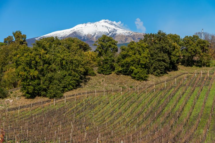 La cima dell'Etna innevata
