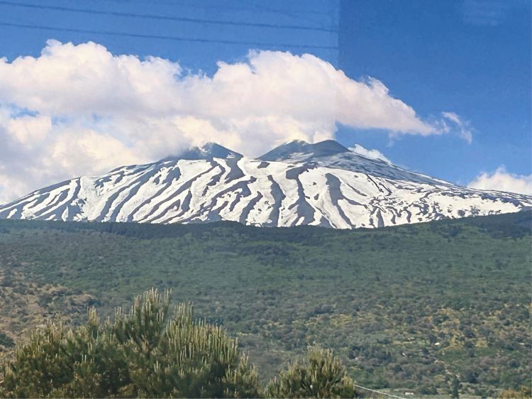 'A Muntagna, ovvero l'Etna, il vulcano attivo pi&ugrave; alto d'Europa visto dal finestrino del treno che attraversa i filari della viticultura eroica
