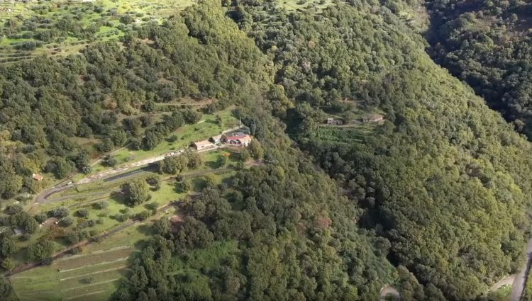 La Fattoria Borrello
