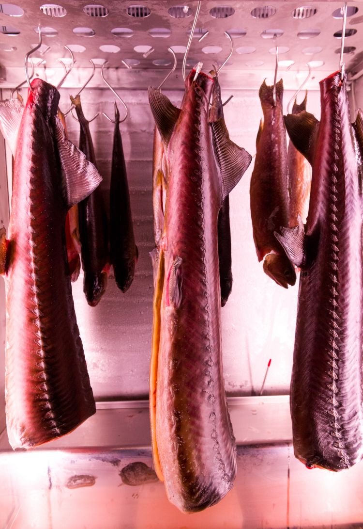 Le frollature del pesce sono, assieme al vegetale, alle fermentazioni e alle conserve, al centro della cucina di EraGoffi di Lorenzo Careggio
